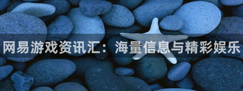 极悦娱乐网页版地址：网易游戏资讯汇：海量信息与精彩娱乐