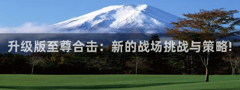 极悦娱乐网页登录入口下载：升级版至尊合击：新的战场挑战与策略