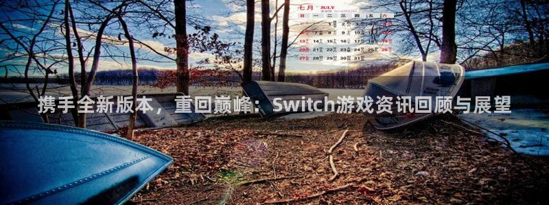 极悦娱乐平台登录：携手全新版本，重回巅峰：Switch游戏资