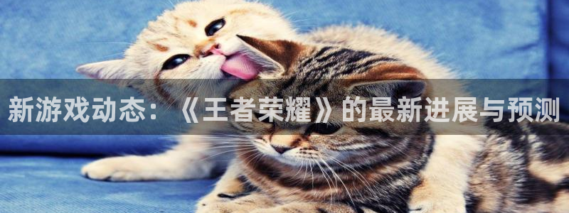 极悦娱乐什么意思