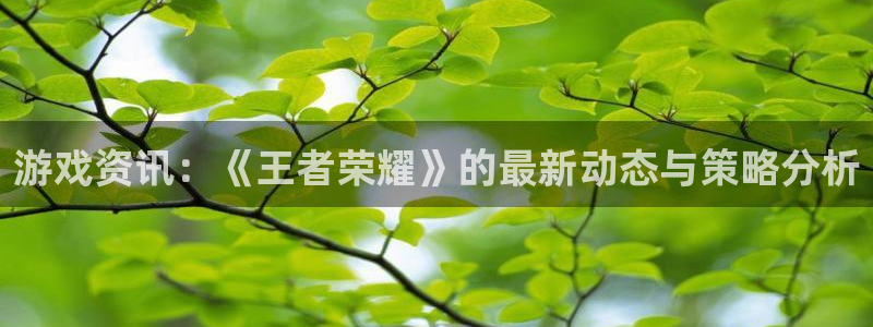 极悦娱乐代理登陆：游戏资讯：《王者荣耀》的最新动态与策略分析