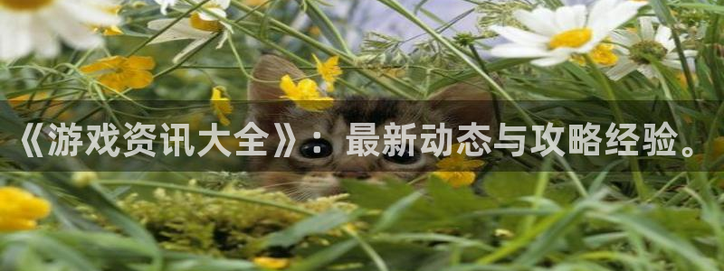 极悦娱乐是什么：《游戏资讯大全》：最新动态与攻略经验。