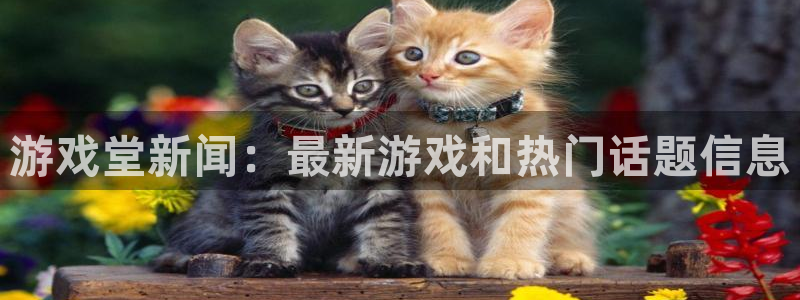极悦娱乐注册：游戏堂新闻：最新游戏和热门话题信息