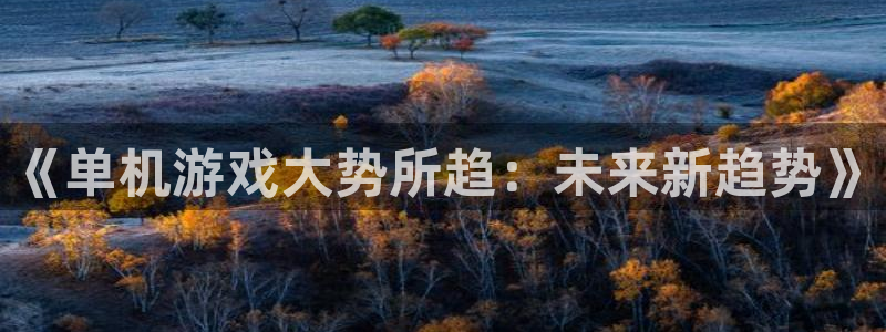 极悦娱乐平台注册资金多少：《单机游戏大势所趋：未来新趋势》