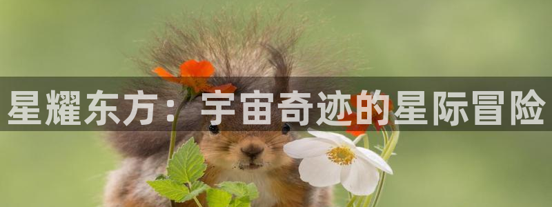极悦娱乐平台：星耀东方：宇宙奇迹的星际冒险