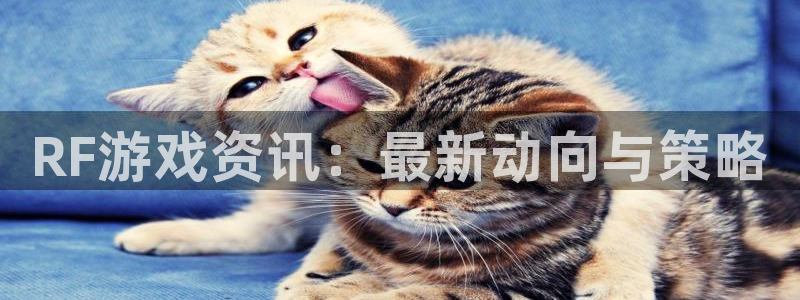 极悦娱乐代理登陆：RF游戏资讯：最新动向与策略