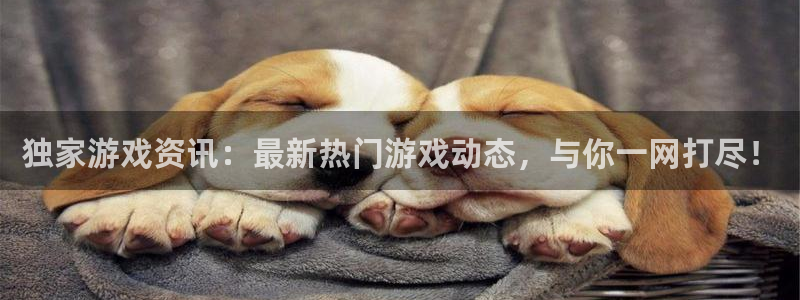 极悦娱乐注册账号：独家游戏资讯：最新热门游戏动态，与你一网打