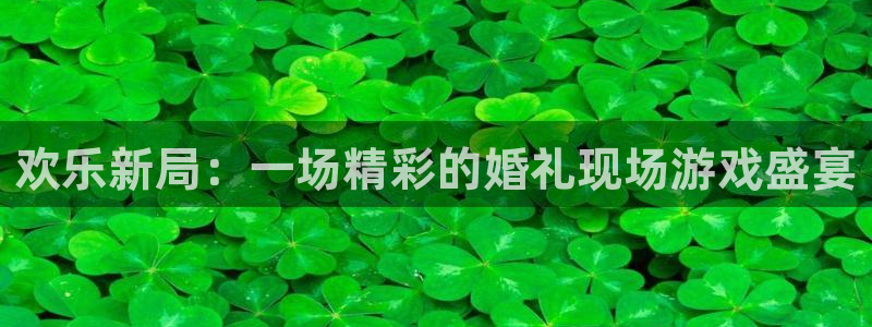 极悦娱乐娱乐是真的吗：欢乐新局：一场精彩的婚礼现场游戏盛宴
