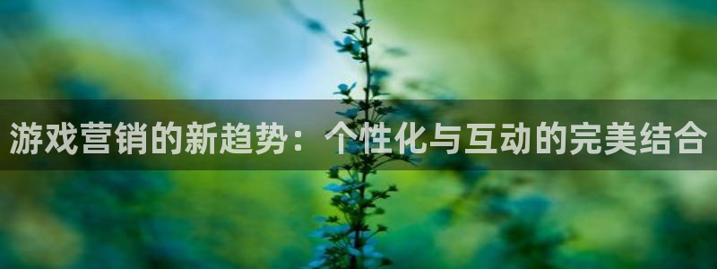 极悦娱乐注册官方登录app：游戏营销的新趋势：个性化与互动的