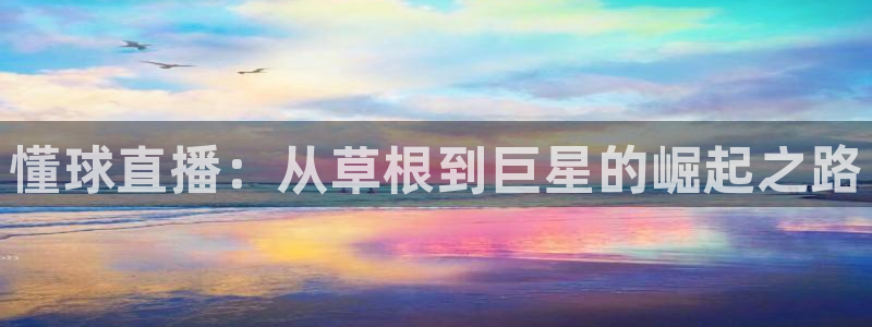 五星体育频道在线播放：懂球直播：从草根到巨星的崛起之路