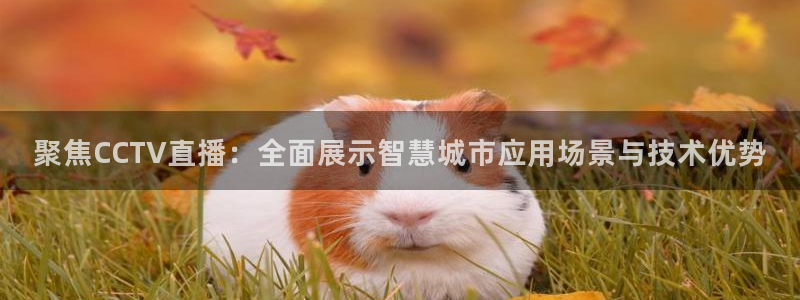 五星体育张蕾：聚焦CCTV直播：全面展示智慧城市应用场景与技术优势