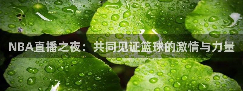 上海五星体育app官网：NBA直播之夜：共同见证篮球的激情与力量
